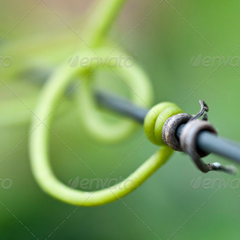 电话连环云呼叫软件