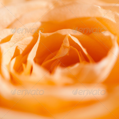 自动化运维的在线呼叫网页版软件