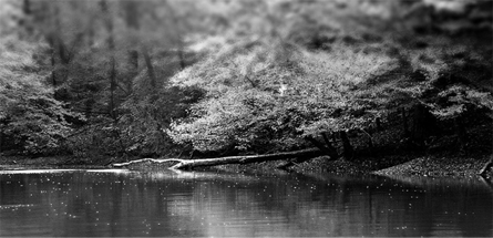 无限轰炸手机软件短信下载