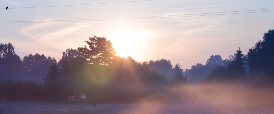 批发直销的呼死您软件免费