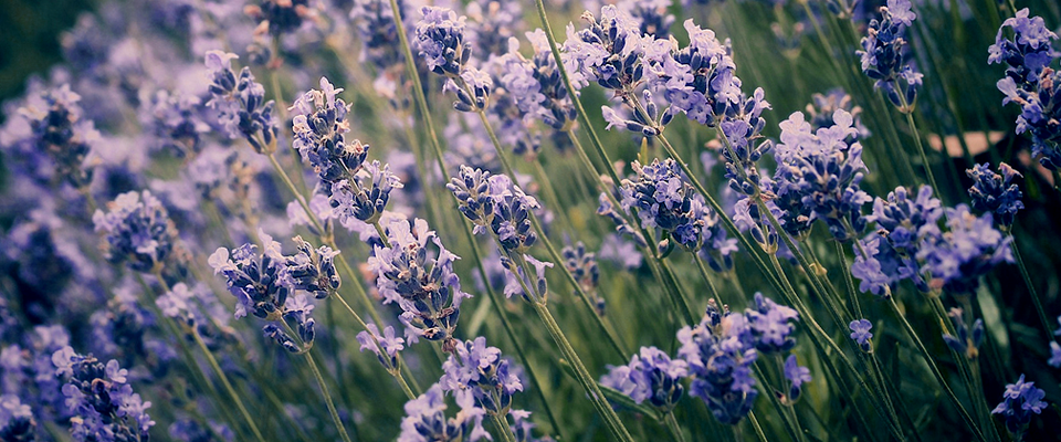 无限轰炸手机软件短信下载